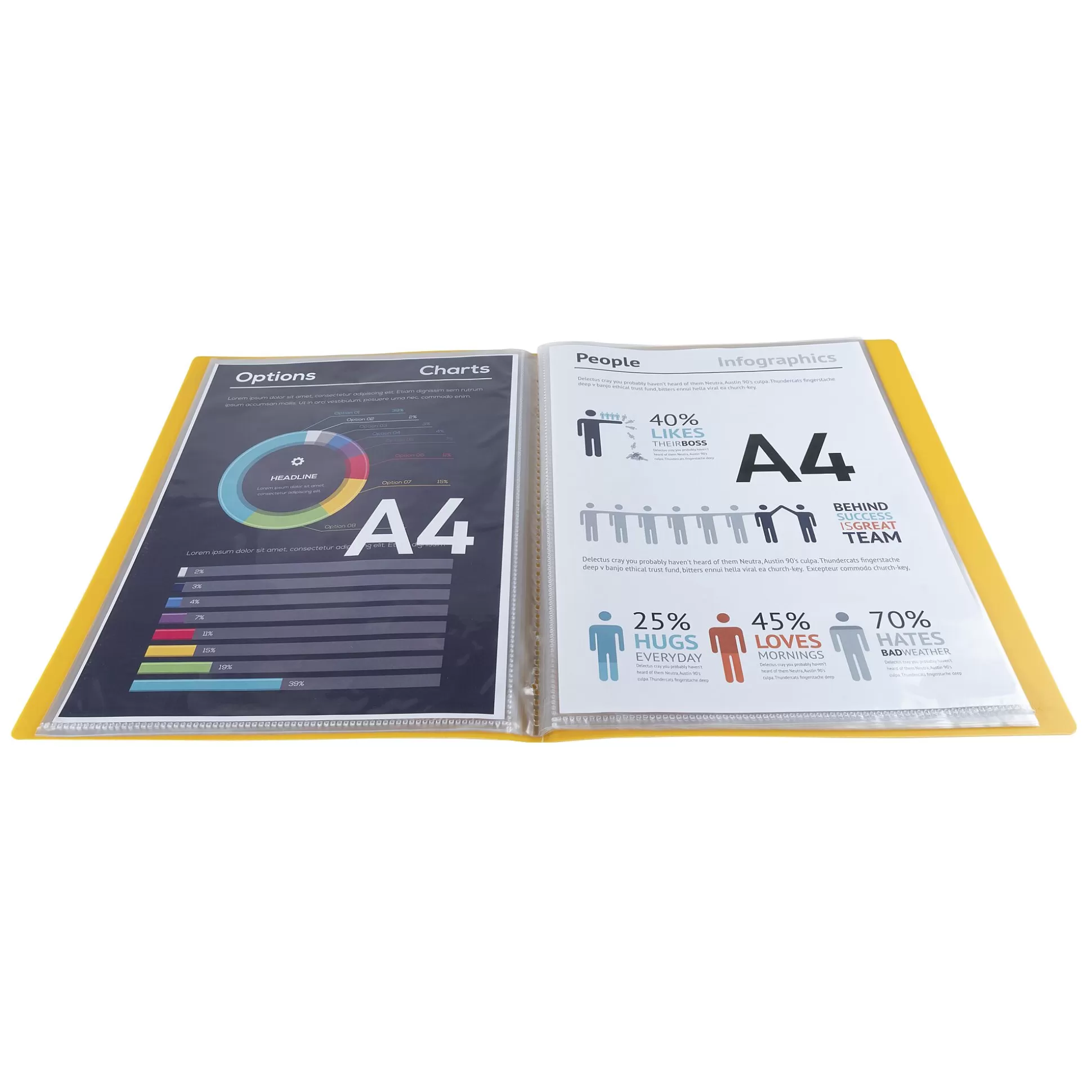 EXACOMPTA Klasseren-Forever Showalbum Pp A4 30 Tassen 60 Zichten 1 Van 4 Kleuren