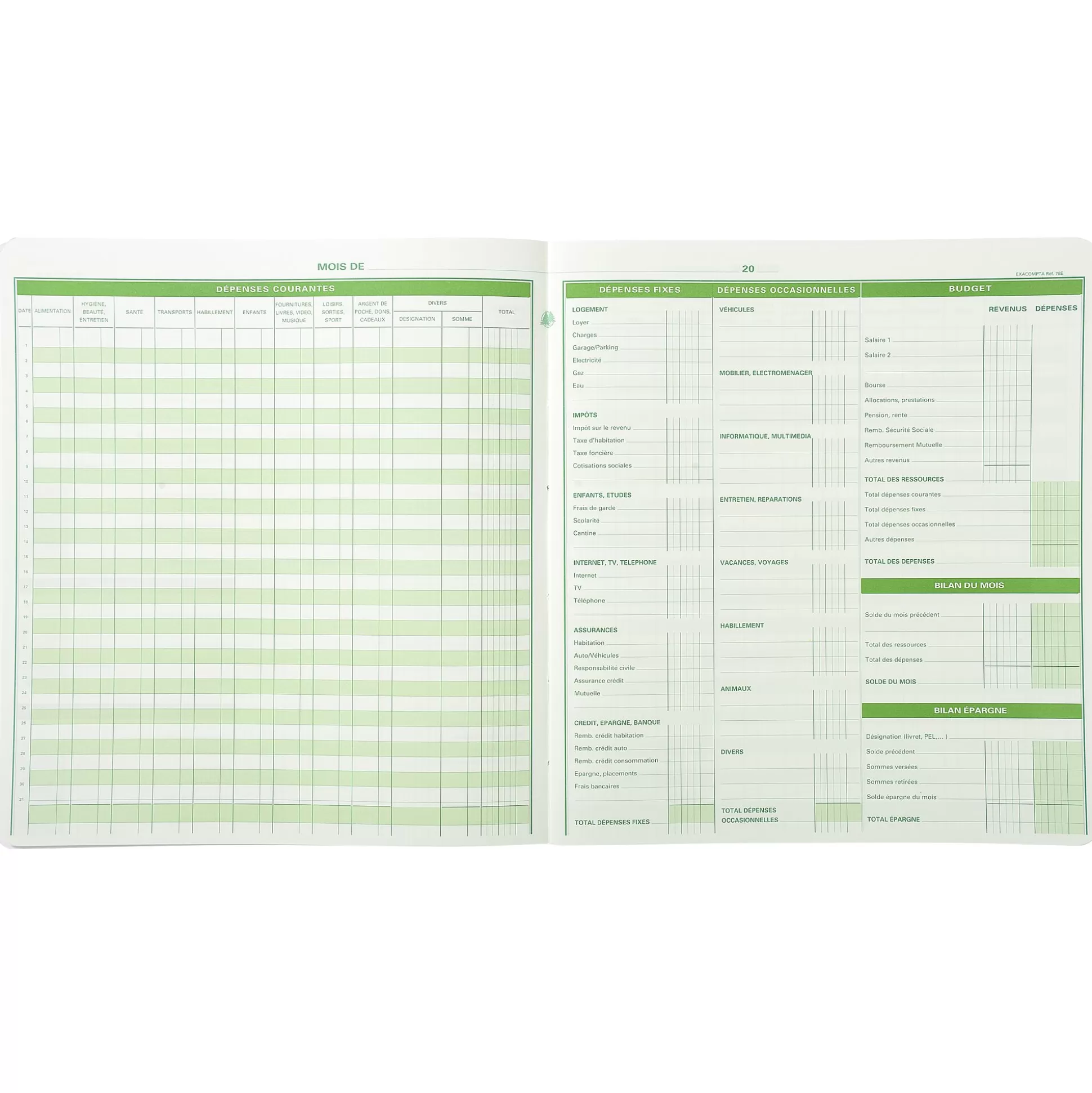 EXACOMPTA Speciaal Papier & Schrijfboeken-Huishoudelijk Uitgaven- En Organisatieboekje - Gezinsbudget Fr 27X25Cm 56 Pagina's