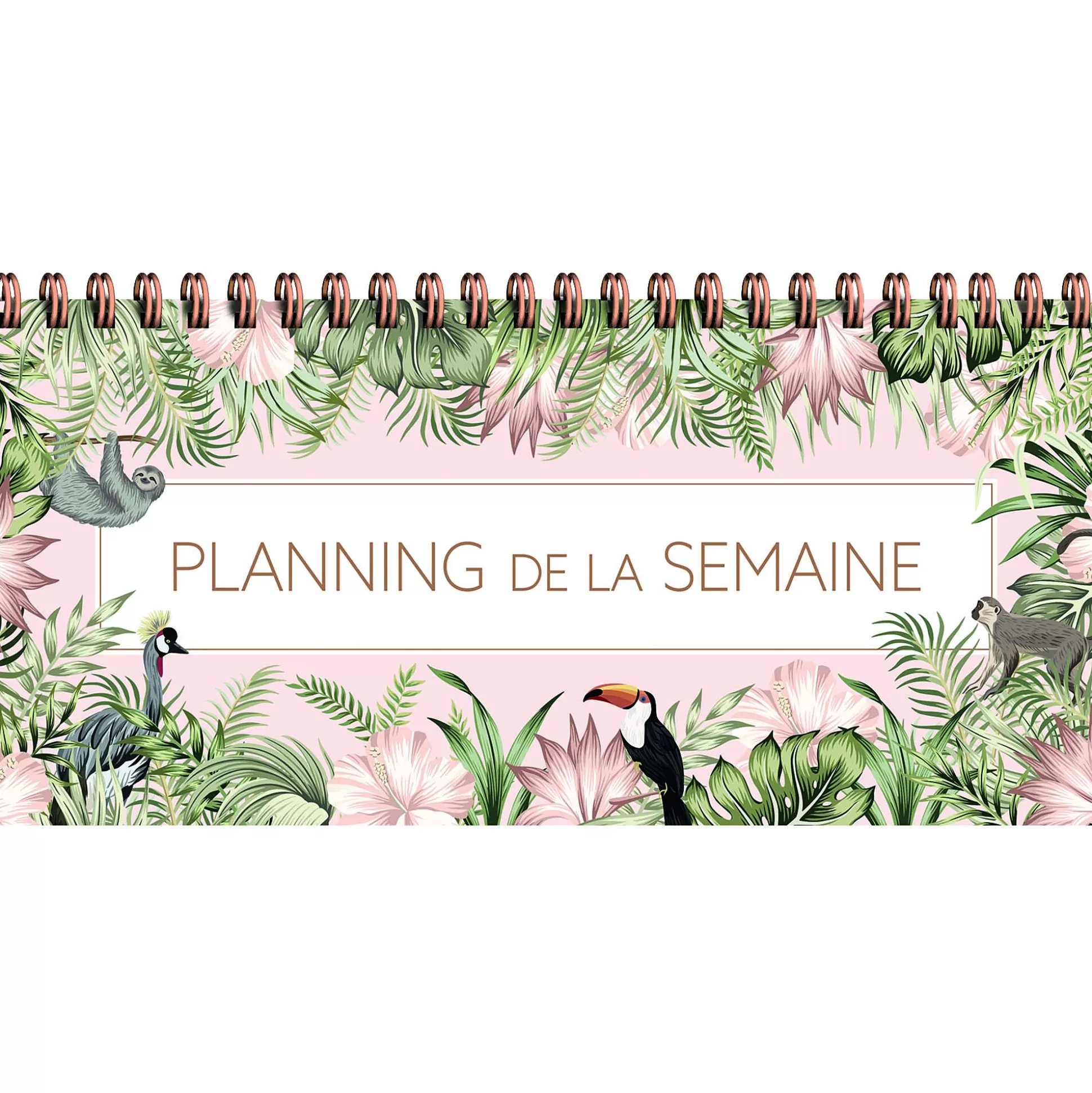 PAPERSTORE Planners & Lijstjes-Planning De La Semaine