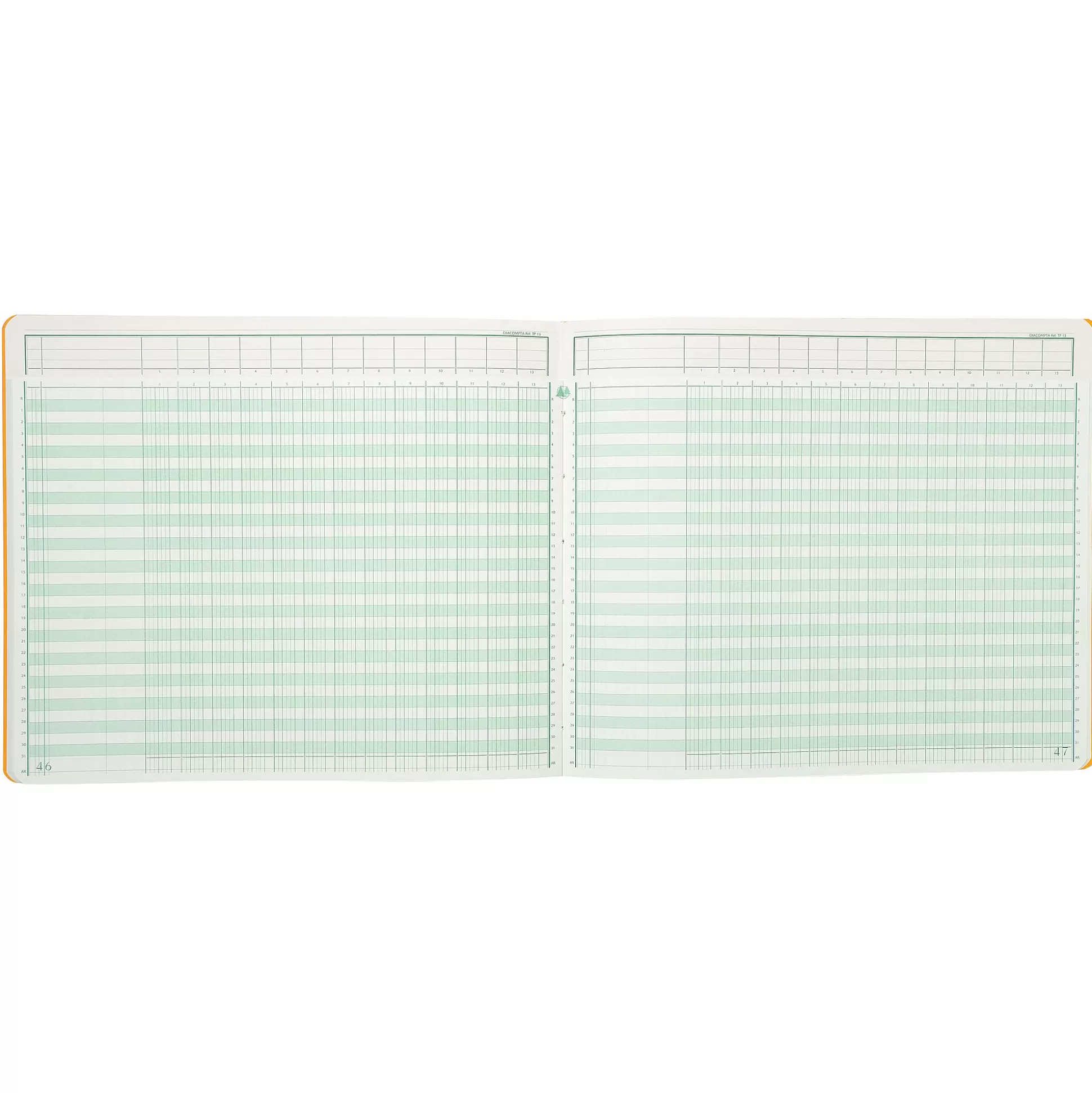 EXACOMPTA Speciaal Papier & Schrijfboeken-Register 13 Kolommen Per Pagina Met Uitgesneden Hoofding 31 Lijnen 80 Bladen 32X27Cm