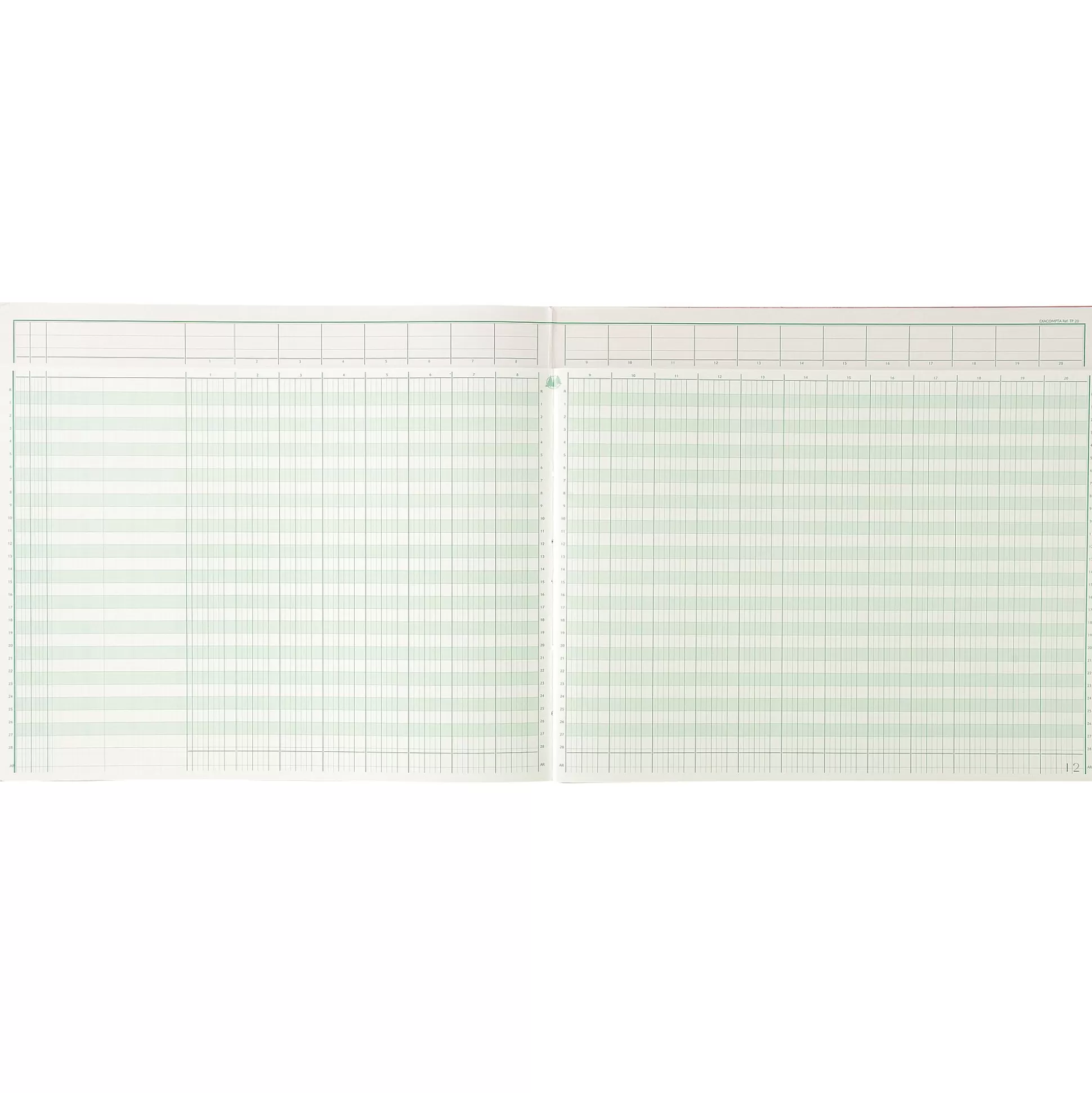 EXACOMPTA Speciaal Papier & Schrijfboeken-Register 20 Kolommen Per 2 Pagina's Met Uitgesneden Hoofding 28 Lijnen 80 Bladen 32X27Cm