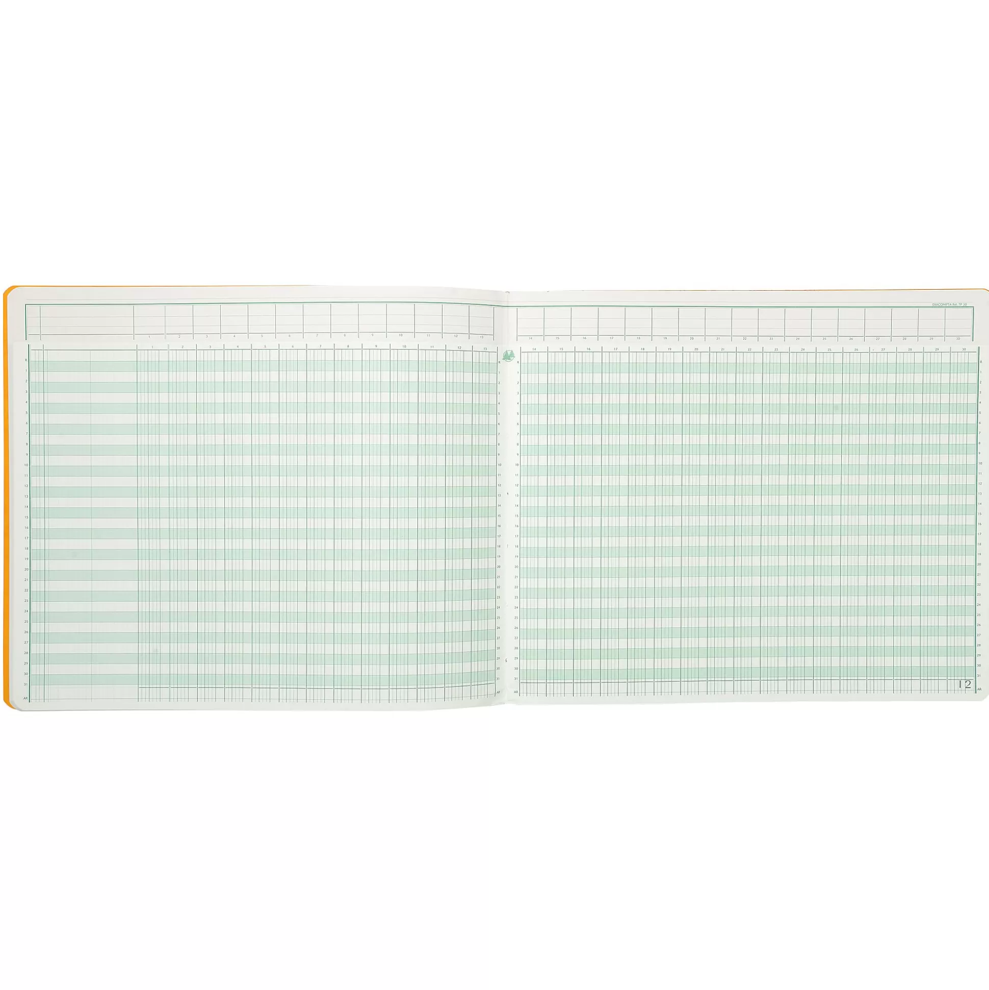 EXACOMPTA Speciaal Papier & Schrijfboeken-Register 30 Kolommen Per 2 Pagina's Met Uitgesneden Hoofding 31 Lijnen 80 Bladen 32X27Cm