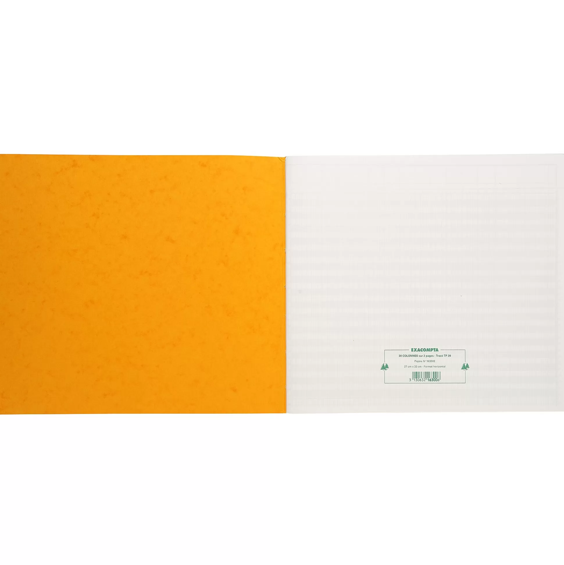 EXACOMPTA Speciaal Papier & Schrijfboeken-Register 30 Kolommen Per 2 Pagina's Met Uitgesneden Hoofding 31 Lijnen 80 Bladen 32X27Cm