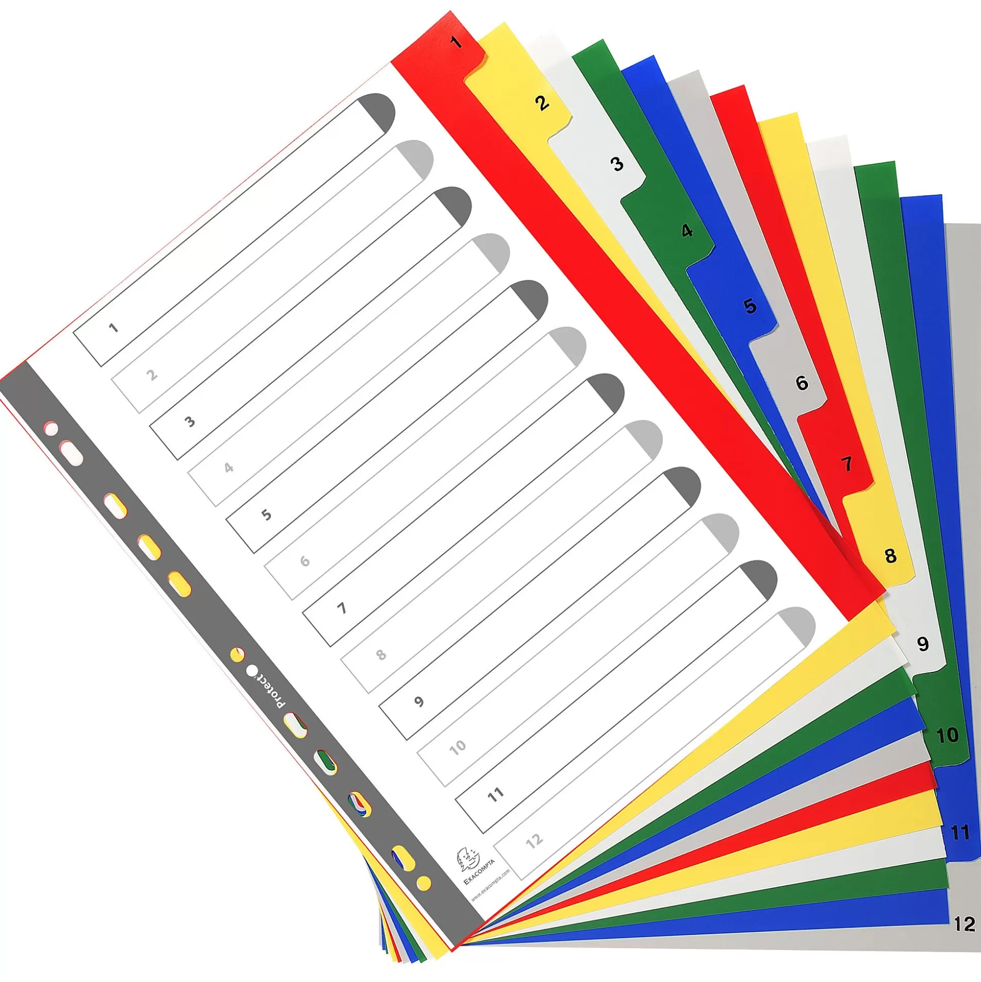 EXACOMPTA Klasseren-Tabbladen Pp A4 Maxi 12 Tabs Bedrukt 1 Tot 12