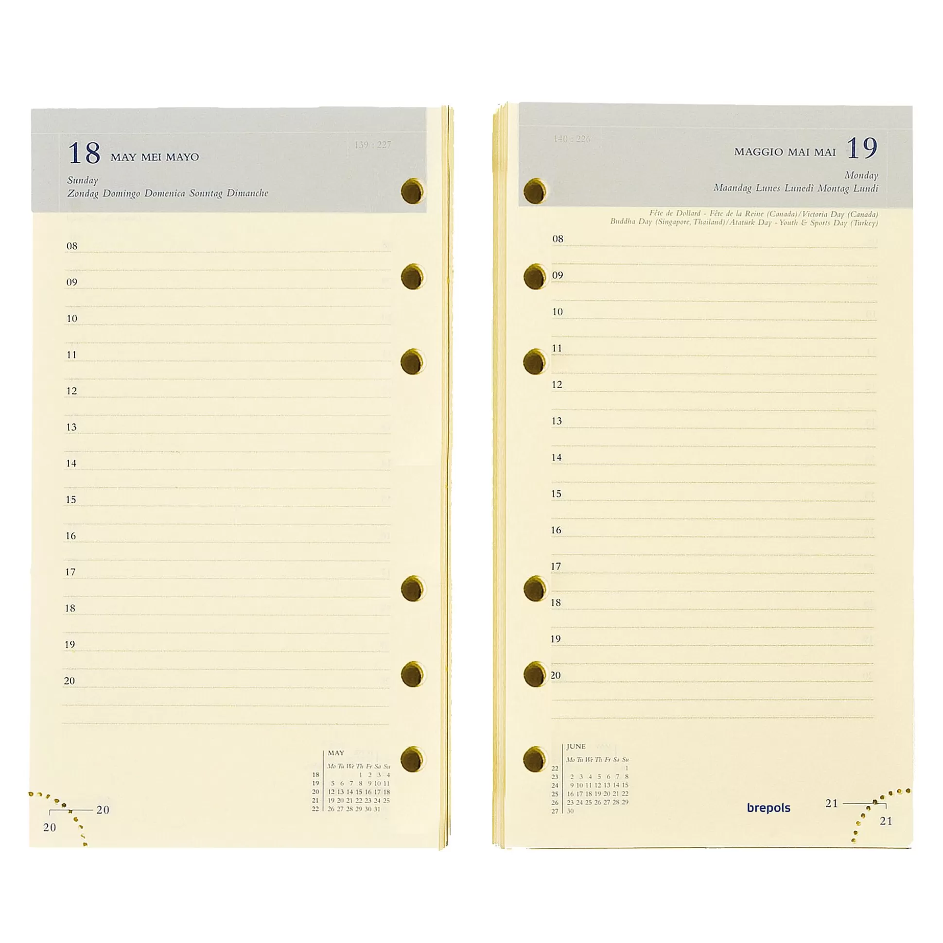 BREPOLS Planners & Lijstjes-Vulling Agenda 9,5X17Cm 1 Dag Per Pagina 6 Talen Calendarium Ivoor Brefax 11